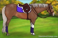 Horse Color:Silver Bay 