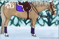 Horse Color:Palomino Varnish 