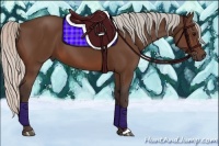 Horse Color:Silver Brown 
