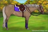 Horse Color:Silver Brown Dun 
