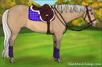 Horse Color:Silver Buckskin 