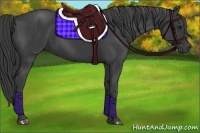 Horse Color:Smoky Black 