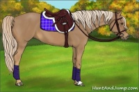 Horse Color:Palomino 