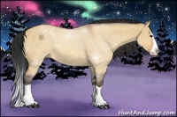 Horse Color:Bay Roan Dun Splash