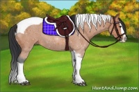 Horse Color:Bay Roan Splash Tobiano 