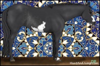 Horse Color:Black Frame Rabicano 