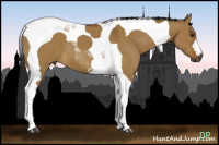 Horse Color:Gray Buckskin Dun Tobiano