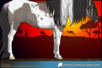 Horse Color:Smoky Grullo Tobiano
