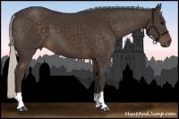 Horse Color:Silver Brown 