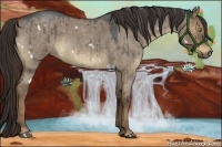 Horse Color:White Spotted Liver Red Dun Roan 