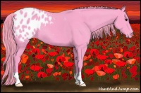 Horse Color:Watercolor Smoky Black Appaloosa 