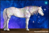 Horse Color:Nacre Chocolate Palomino Pearl Onyx Sabino Rabicano