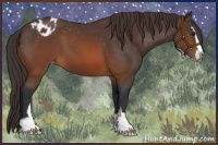 Horse Color:Brown Sabino Varnish 