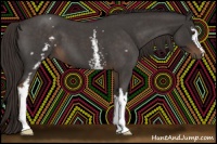 Horse Color:White Spotted Liver Red Roan 