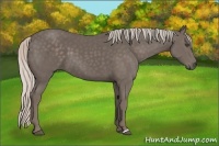 Horse Color:Silver Black 