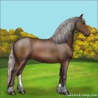 Horse Color:Silver Brown Sabino