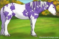 Horse Color:Watercolor White Spotted Smoky Black Splash