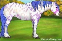 Horse Color:Watercolor Buckskin Roan Onyx Near Leopard