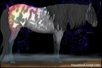 Horse Color:Blue Roan Appaloosa 