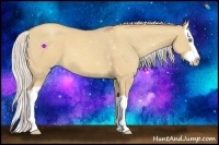 Horse Color:Silver Sable Champagne Dun Splash 