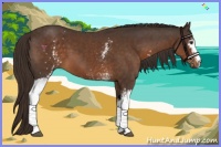 Horse Color:White Spotted Liver Chestnut 