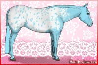 Horse Color:Watercolor Black Sabino Appaloosa 
