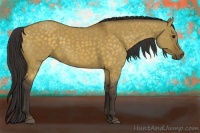 Horse Color:Buckskin Dun Sabino