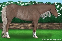 Horse Color:Silver Black Rabicano