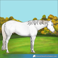Horse Color:White Spotted Smoky Creme Dun 