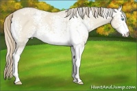 Horse Color:White Spotted Smoky Creme Dun 