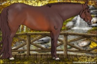Horse Color:Chocolate Brown 