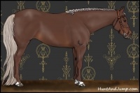 Horse Color:Chocolate Silver Brown
