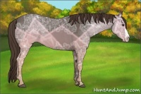 Horse Color:Liver Chestnut Ice 