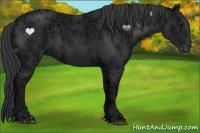 Horse Color:Black Ice 