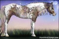 Horse Color:Nacre Silver Bay Ice Onyx Sabino Tobiano 