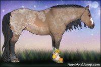 Horse Color:Bay Ice Dun