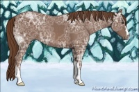 Horse Color:Chestnut Ice 