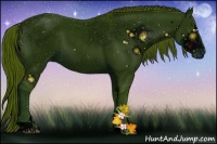 Horse Color:ERROR: UNKNOWN ANOMALY