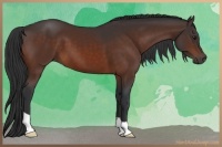 Horse Color:Brown 