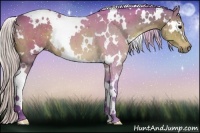 Horse Color:Watercolor White Spotted Silver Brown