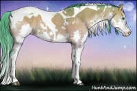 Horse Color:Watercolor White Spotted Brown Dun Splash Tobiano Rabicano 