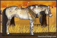 Horse Color:White Spotted Liver Red Dun Onyx 