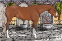 Horse Color:Silver Bay 