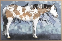 Horse Color:White Spotted Bay Ice Dun Sabino Splash 