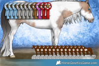 Horse Color:Brown Roan Dun Tobiano Frame