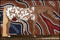 Horse Color:Chestnut Appaloosa