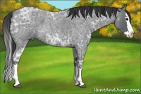 Horse Color:Smoky Blue Ice Roan Splash