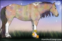 Horse Color:Nacre Buckskin Sabino Tobiano Rabicano 