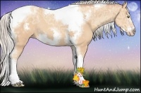 Horse Color:Silver Amber Champagne Ice Sabino Tobiano Frame Rabicano