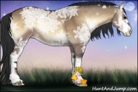 Horse Color:Brown Ice Onyx Sabino